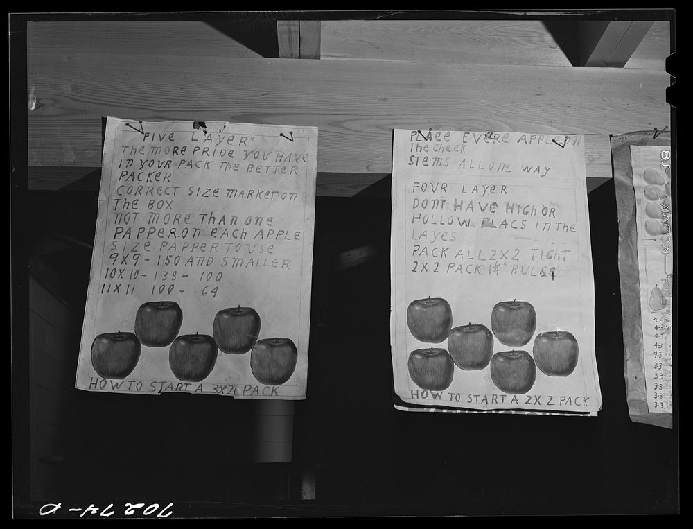 Charts at the apple packers school at the FSA (Farm Security Administration) farm family migratory labor camp. Yakima…