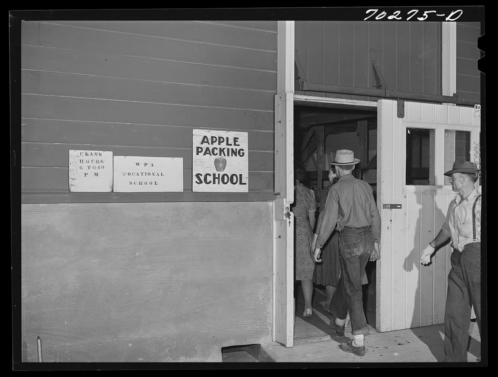 Farm workers who attend apple packing school at FSA (Farm Security Administration) farm family migratory labor camp. Yakima…
