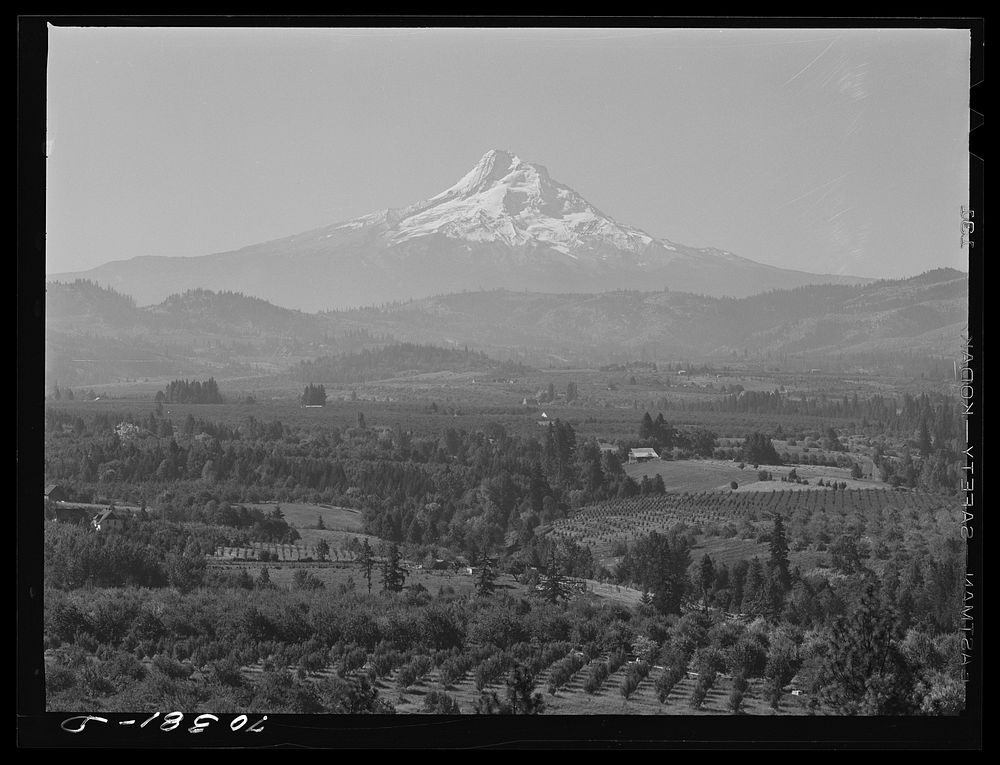 [Untitled photo, possibly related to: Orchards of Hood River Valley, Oregon, with Mount Hood in the background] by Russell…