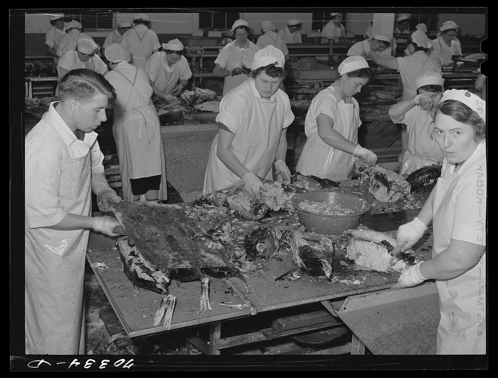 Skinning cooked tuna before canning. Columbia River Packing Association, Astoria, Oregon by Russell Lee