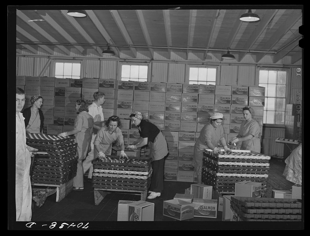 Packing canned salmon into cases. Columbia River Packing Association, Astoria, Oregon by Russell Lee