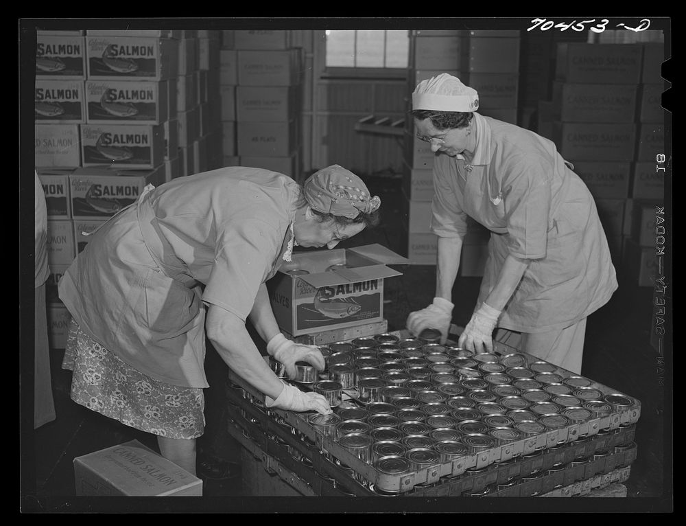 Packing canned salmon into cans at the Columbia River Packing Association. Astoria, Oregon by Russell Lee