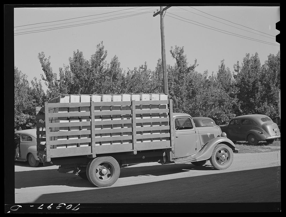 Crates of pears going into town for shipment by rail to the markets. Hood River, Oregon by Russell Lee