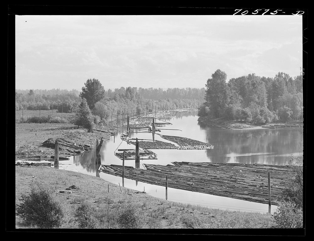 [Untitled photo, possibly related to: Log rafts in Columbia River. Cowlitz County, Washington] by Russell Lee