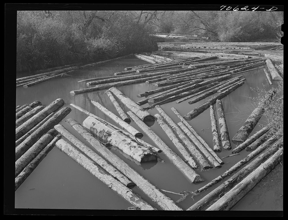Long Bell Lumber Company, Cowlitz County, Washington. Log pond by Russell Lee