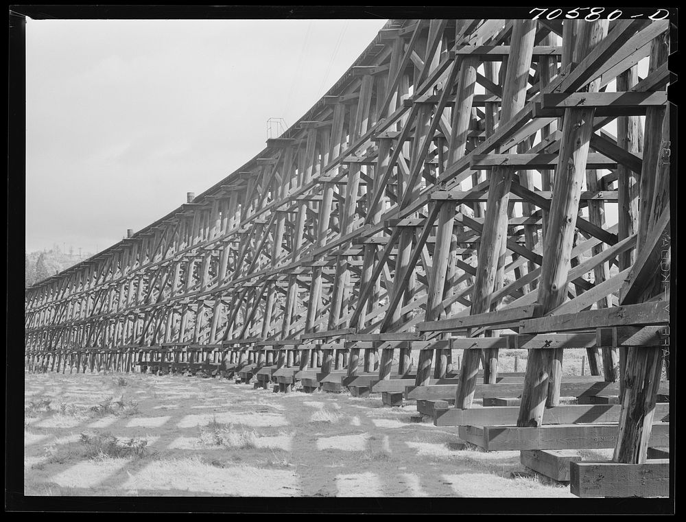 Wooden trestle for railroad. Cowlitz County, Washington by Russell Lee