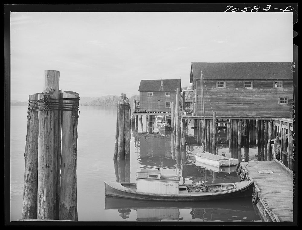 [Untitled photo, possibly related to:  Detail of waterfront. Cathlamet, Washington] by Russell Lee