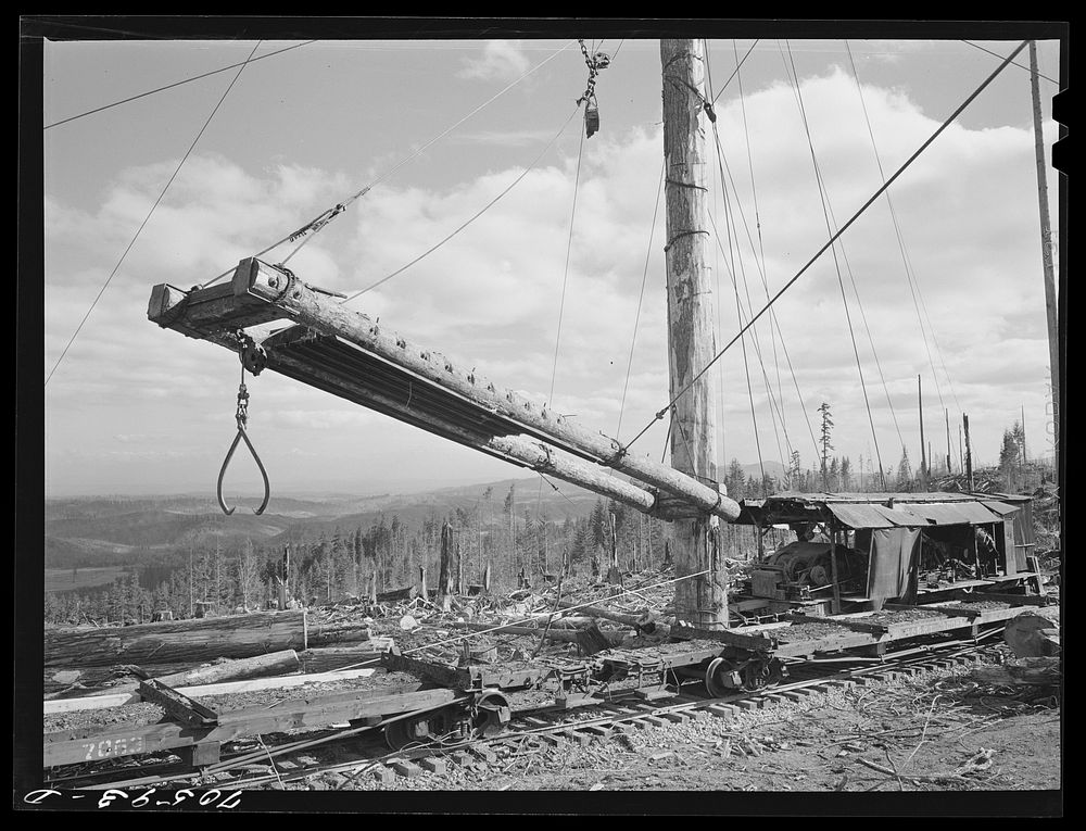 Long Bell Lumber Company, Cowlitz County, Washington. Loading device used at a spar tree for placing logs on railroad cars…