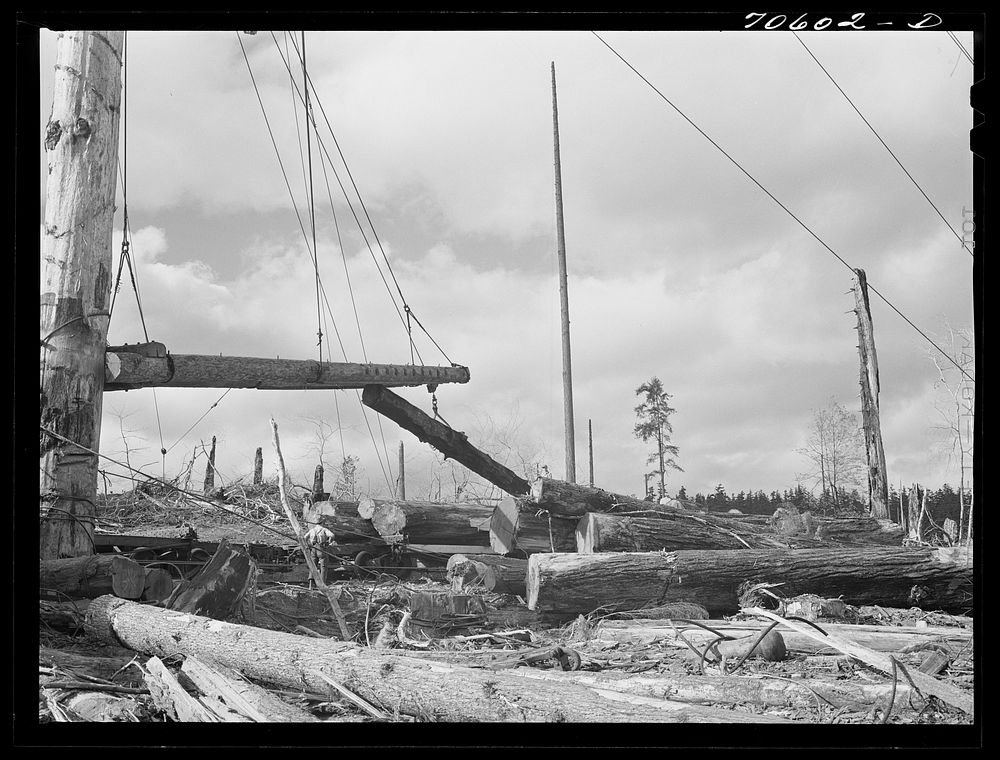 Long Bell Lumber Company, Cowlitz County, Washington. Yarding logs by Russell Lee