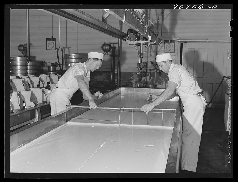 Breaking up curdling milk is one of the first steps of cheesemaking. Tillamook cheese plant, Tillamook, Oregon. This also…