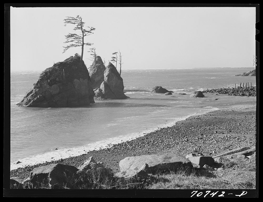 [Untitled photo, possibly related to: Tillamook County, Oregon. The coast] by Russell Lee