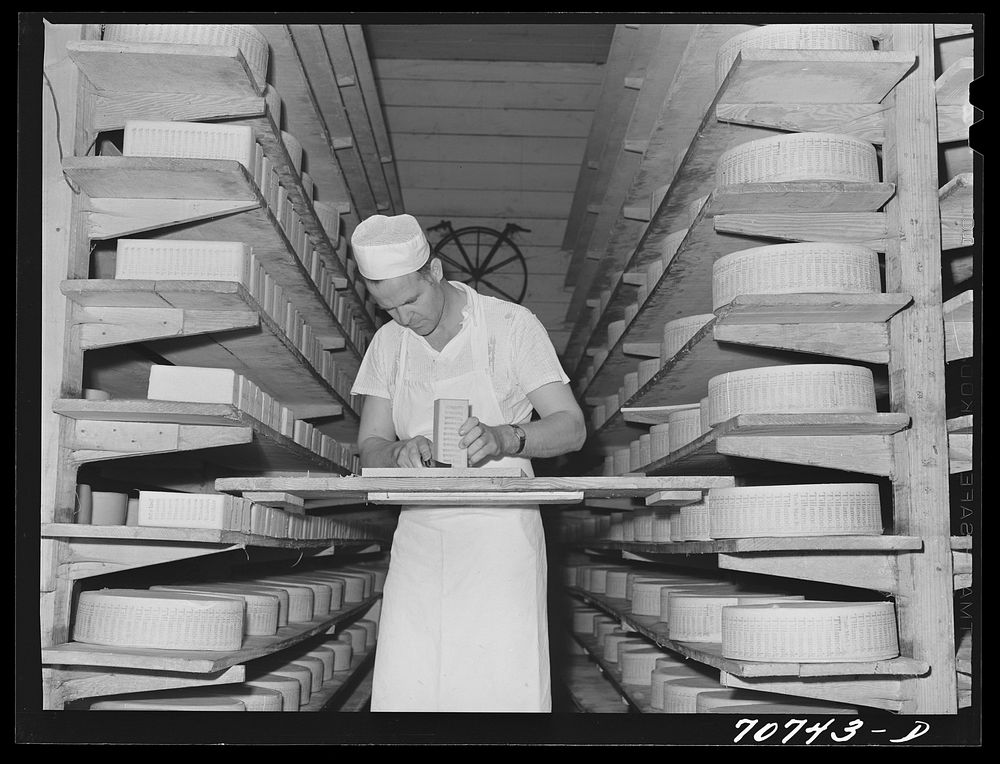 [Untitled photo, possibly related to: Tillamook cheese plant, Tillamook, Oregon. Trimming mold off aging cheese] by Russell…