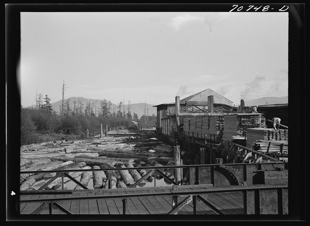 [Untitled photo, possibly related to: Sawmill. Tillamook, Oregon] by Russell Lee