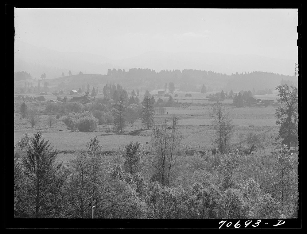 View in Tillamook County, Oregon by Russell Lee