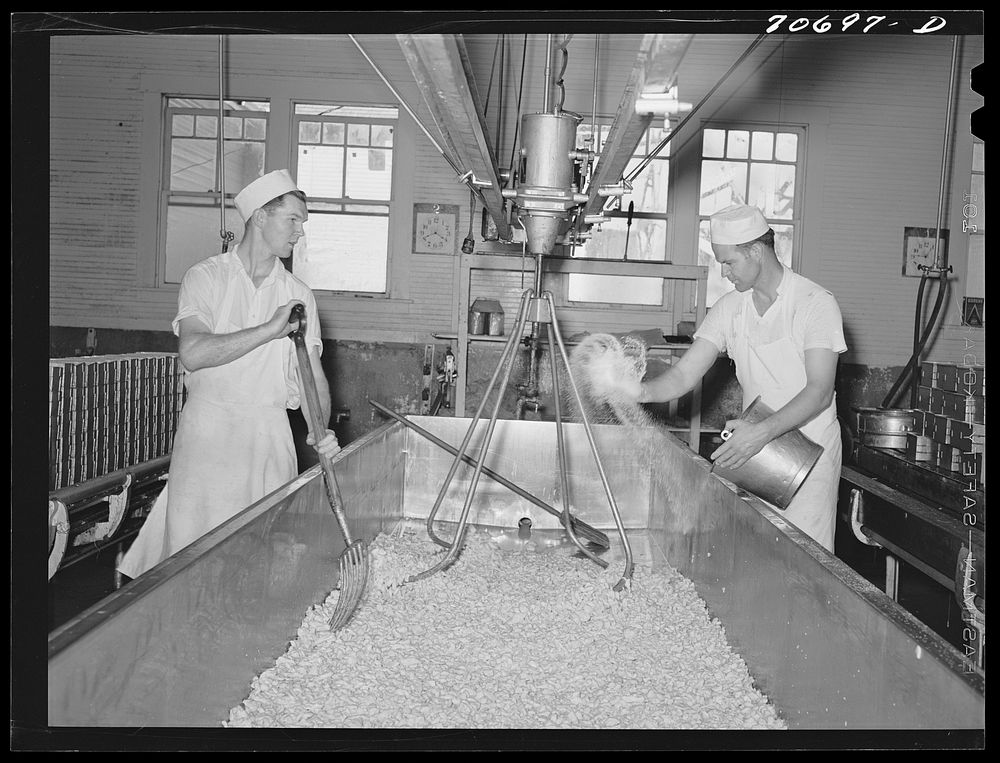Tillamook cheese plant. Tillamook County, Oregon. Salting the curd in process of making cheese by Russell Lee