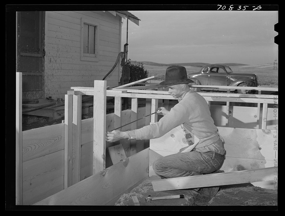 Carpenter at work on house of farmer on Black Canyon Project. Canyon County, Idaho by Russell Lee