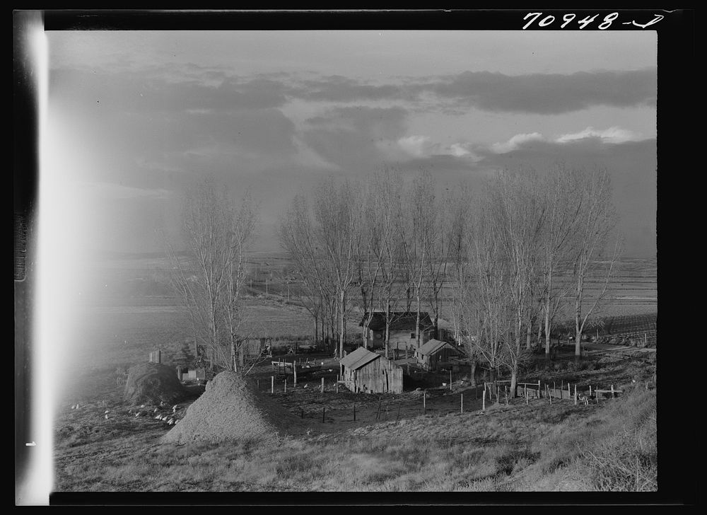[Untitled photo, possibly related to: Canyon County, Idaho. A farmstead on the Black Canyon reclamation project administered…