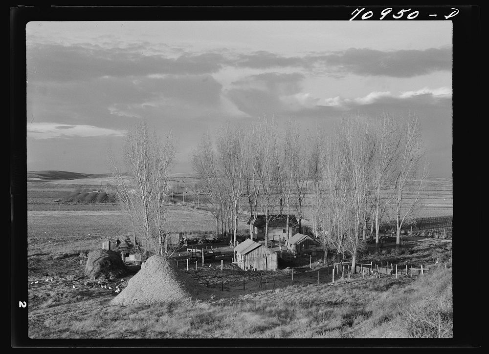 Canyon County, Idaho. A farmstead on the Black Canyon reclamation project administered by the United States Department of…