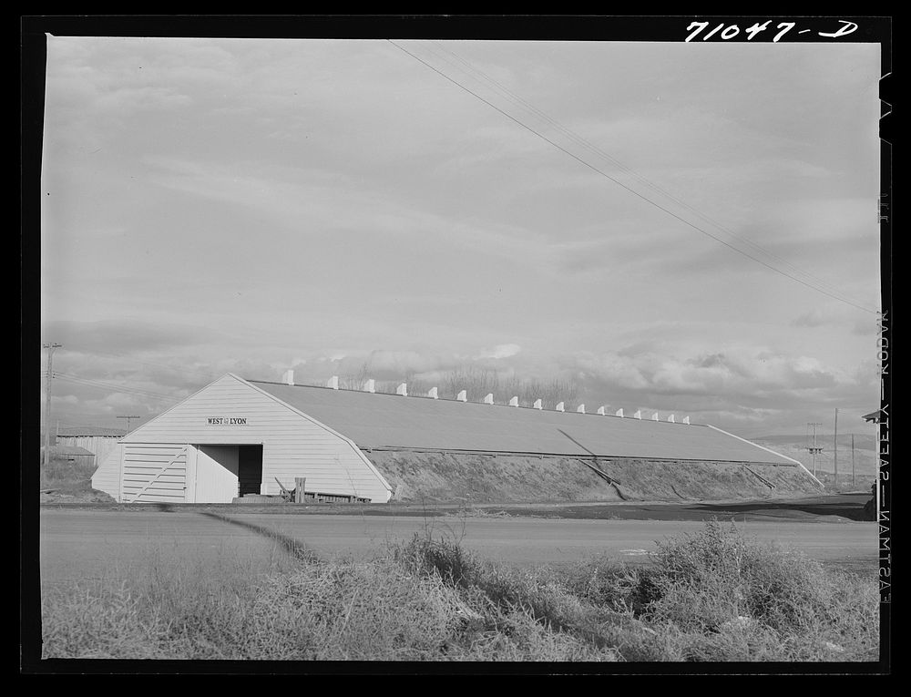 [Untitled photo, possibly related to: Klamath County, Oregon. Potato cellar] by Russell Lee