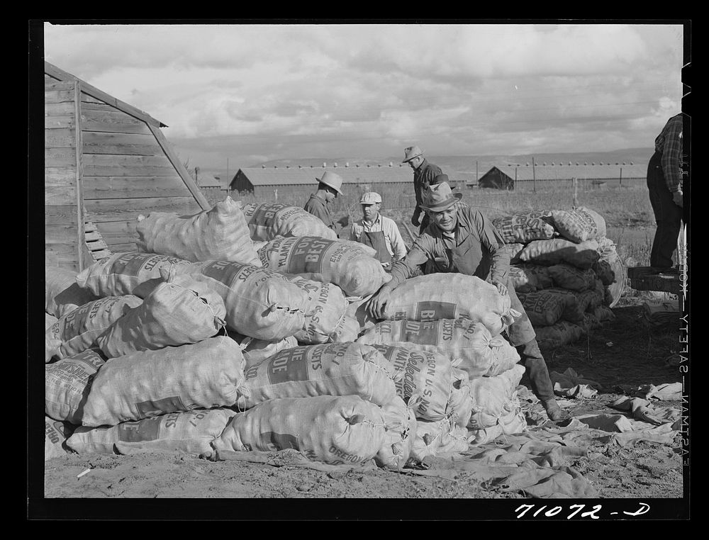 Sacks of potatoes. Klamath County, Oregon by Russell Lee