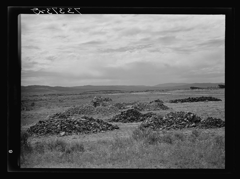 Seneca, Oregon. Piles of chrome ore on the lot of the ore purchasing depot of the metal reserves company by Russell Lee
