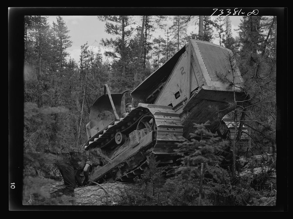 Grant County, Oregon. Malheur National Forest. Diesel caterpillar tractor snaking logs out of woods by Russell Lee