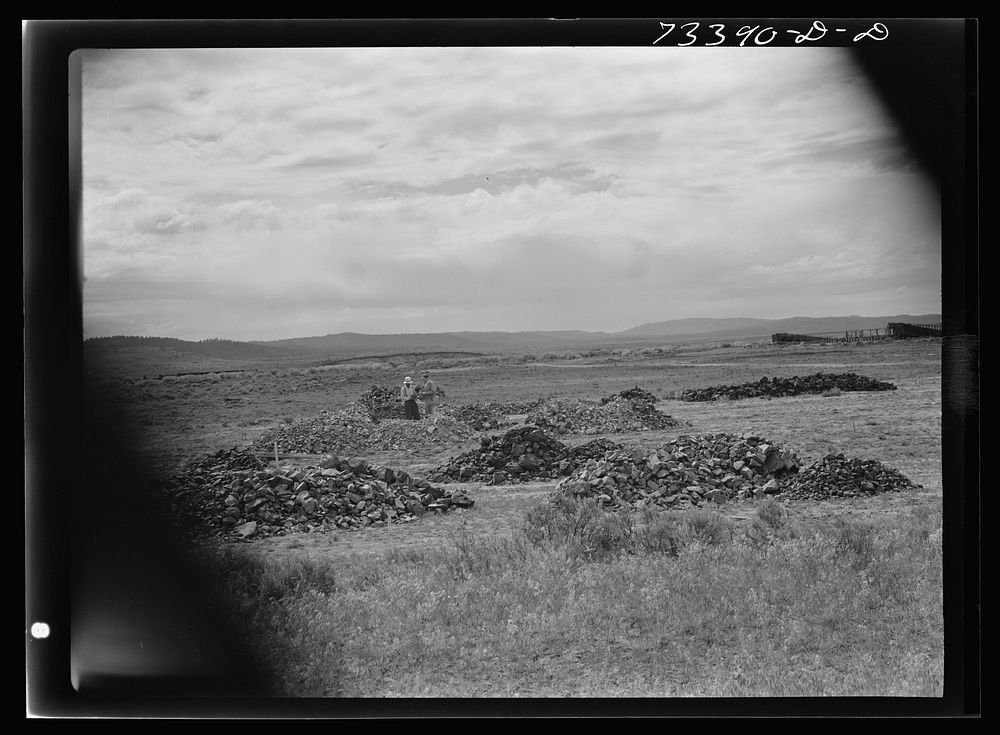 [Untitled photo, possibly related to: Seneca, Oregon. Piles of chrome ore on the lot of the ore purchasing depot of the…
