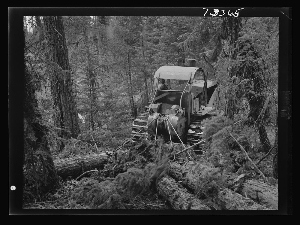 [Untitled photo, possibly related to: Grant County, Oregon. Malheur National Forest. Diesel caterpillar tractor snaking logs…
