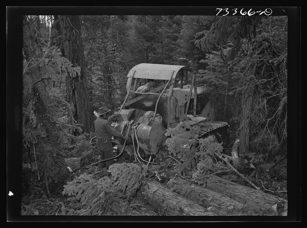 Grant County, Oregon. Malheur National Forest. Diesel caterpillar tractor snaking logs out of woods by Russell Lee