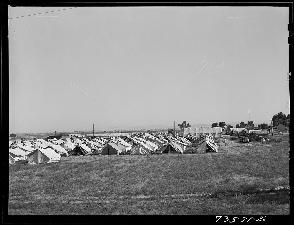 Nyssa. Oregon. FSA (Farm Security Administration) mobile camp now inhabited by Japanese-Americans who volunteered to do farm…
