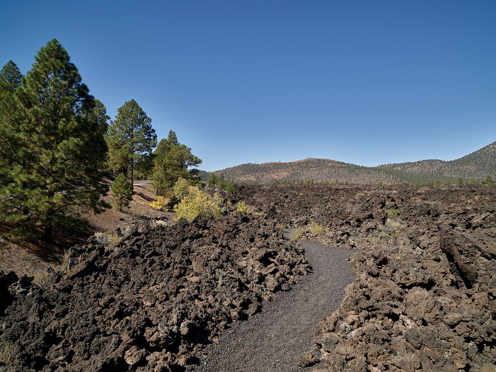 Scene along the Lava&rsquo;s Edge Trail beneath and near Sunset Crater, now part of Sunset Crater Volcano National Monument…