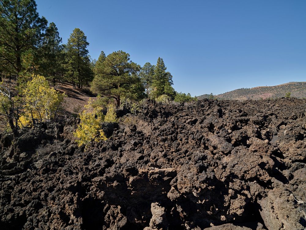 Scene along the Lava&rsquo;s Edge Trail beneath and near Sunset Crater, now part of Sunset Crater Volcano National Monument…