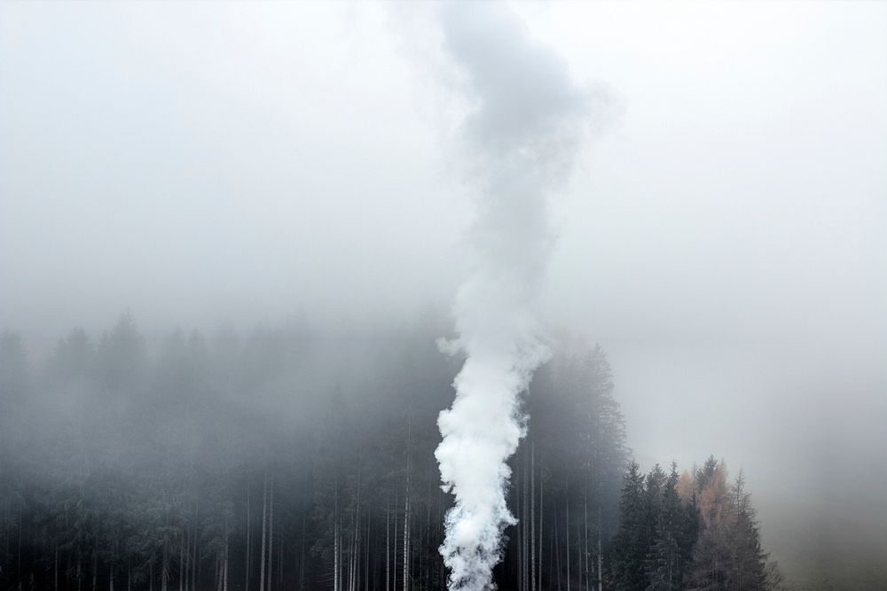Free smoke in forest photo, public domain nature CC0 image.