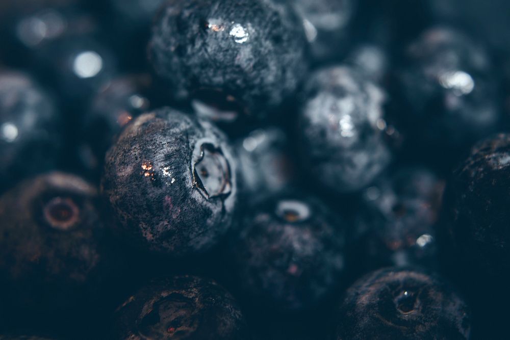Free blueberries image, public domain fruit CC0 photo.