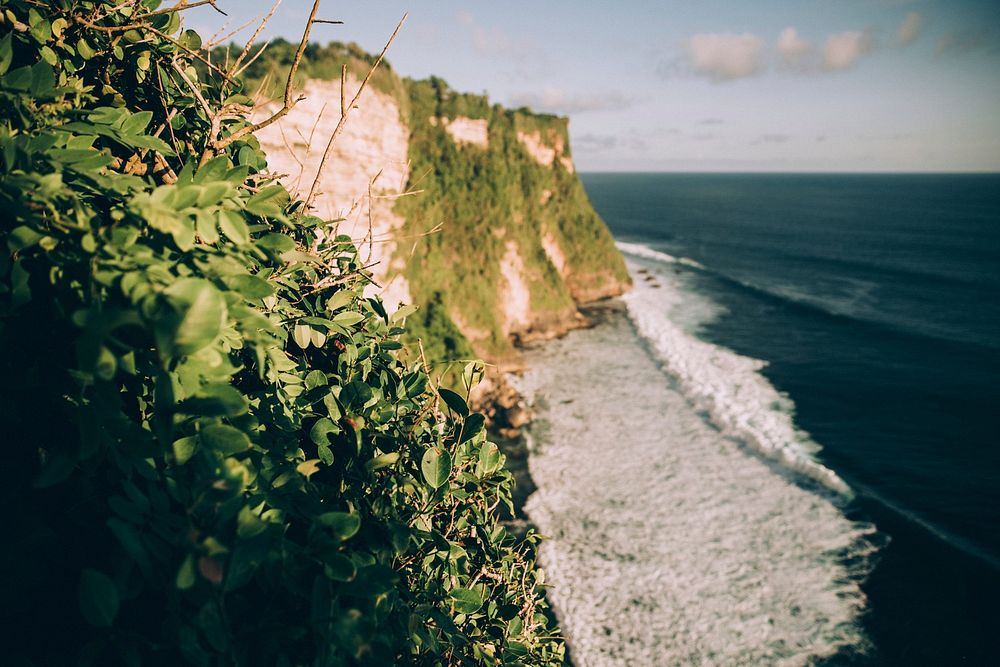 Cliff Ocean Waves 