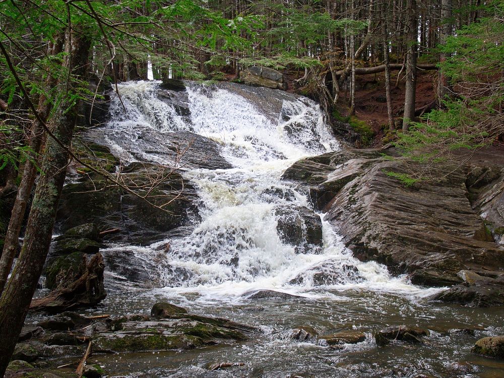 Waterfall Forest Stream 