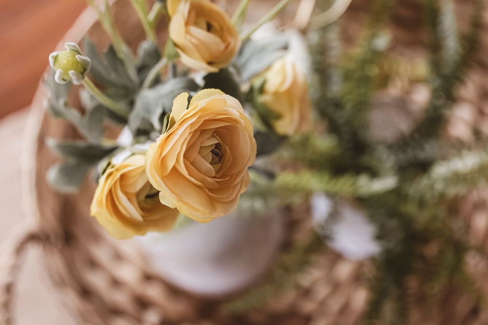 Free ranunculus in vase image, public domain flower CC0 photo.