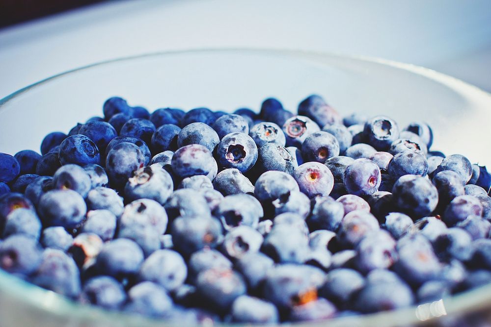 Free blueberry image, public domain fruit CC0 photo.