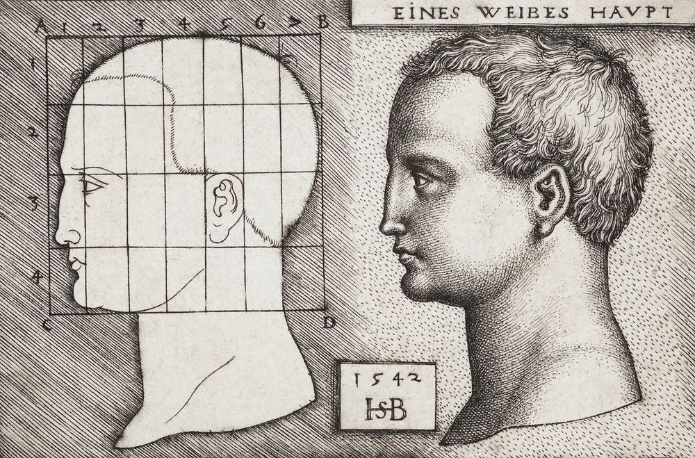 Vintage illustration of profile study of woman's head published in 1542 by Hans Sebald Beham (1500-1550). Original from New…