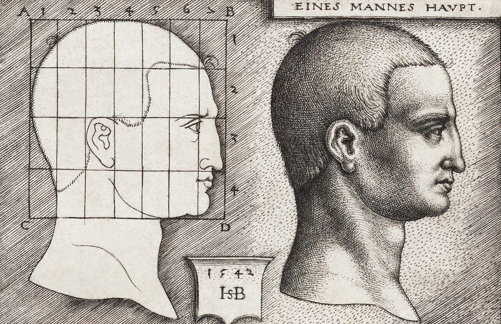 Vintage Illustration Profile Study of Man's Head published in 1542 by Hans Sebald Beham (1500-1550). Original from New York…