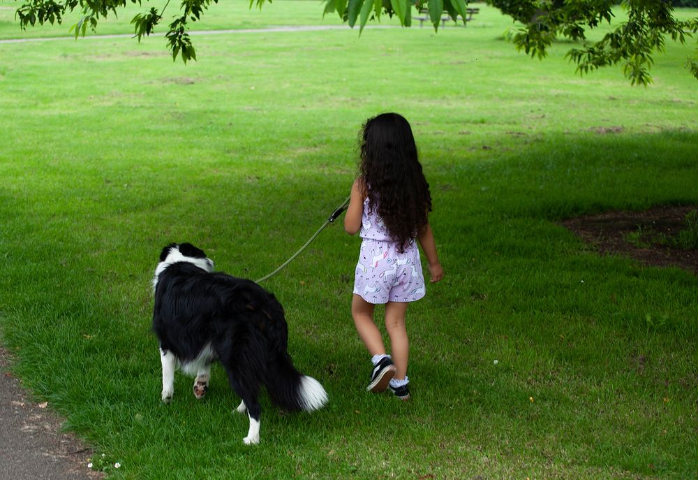 long haired child walking dog