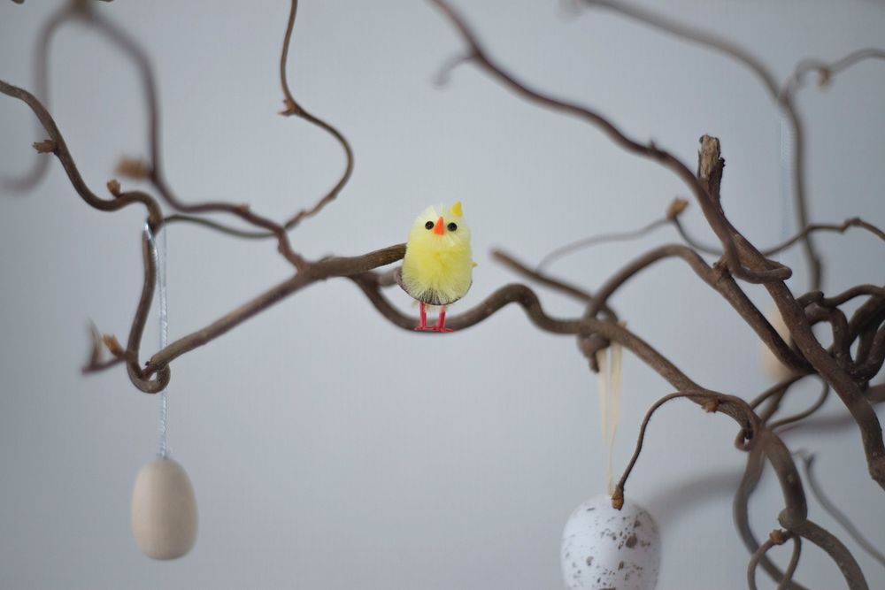 Easter bird on a branch