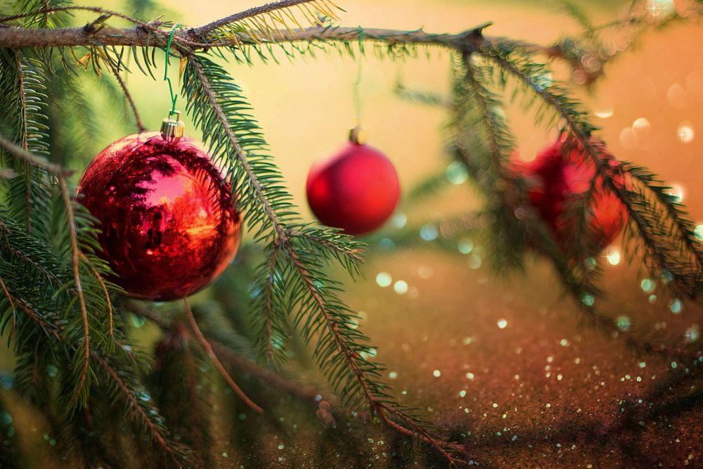 Christmas tree background, free public domain CC0 photo.
