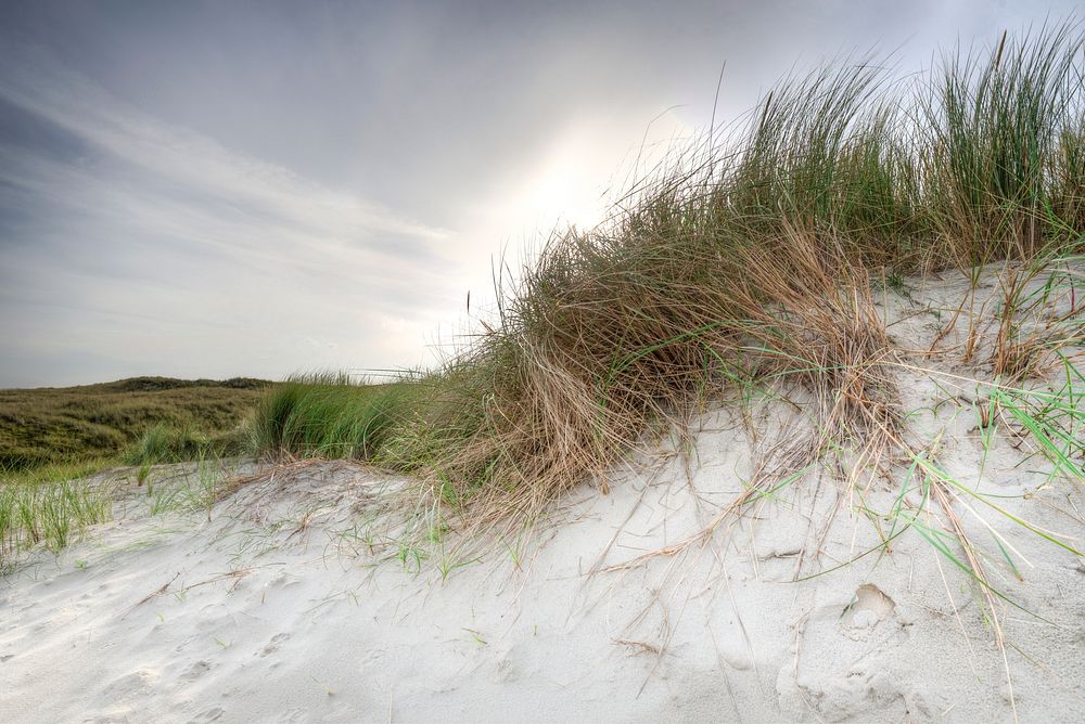 Sandy slope with grass, sky background, free public domain CC0 photo.