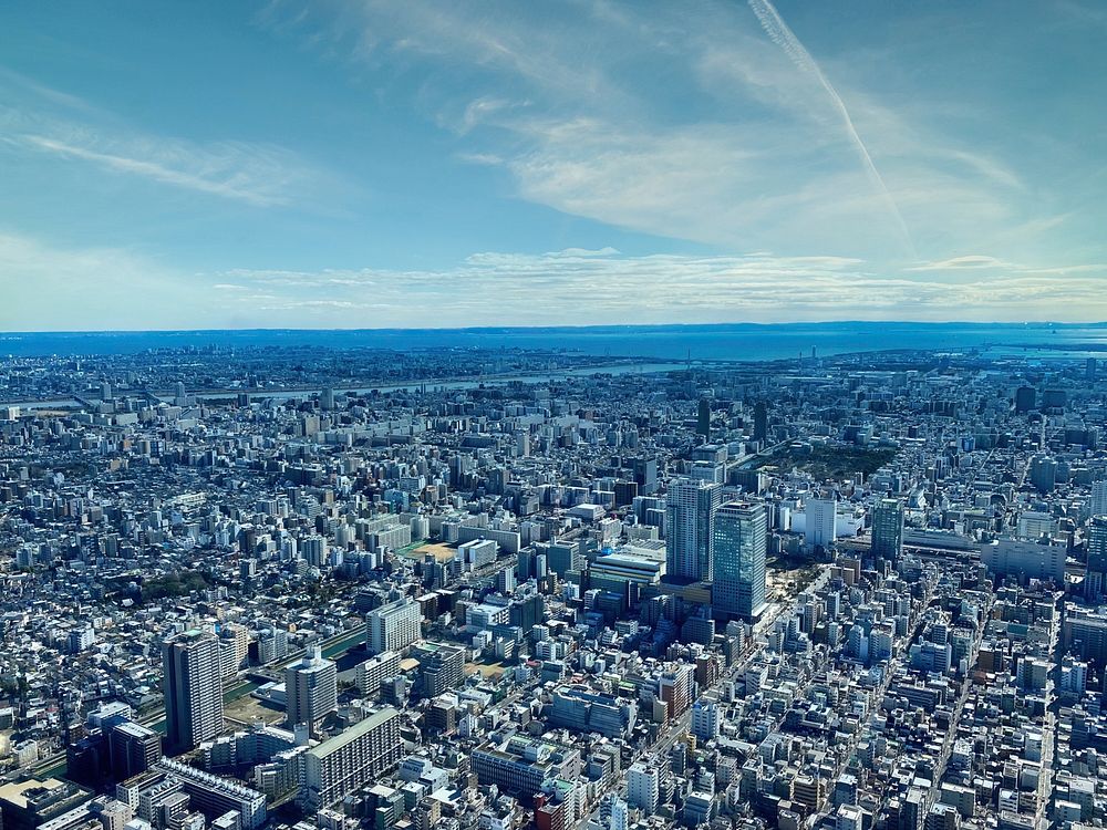 View of Southern Tokyo, Japan
