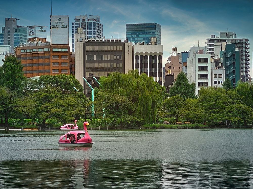 Pink Swan Boats, Ueno Park, Tokyo, Japan