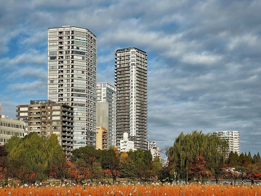 Autumn, Shinobazu Pond, Tokyo, Japan