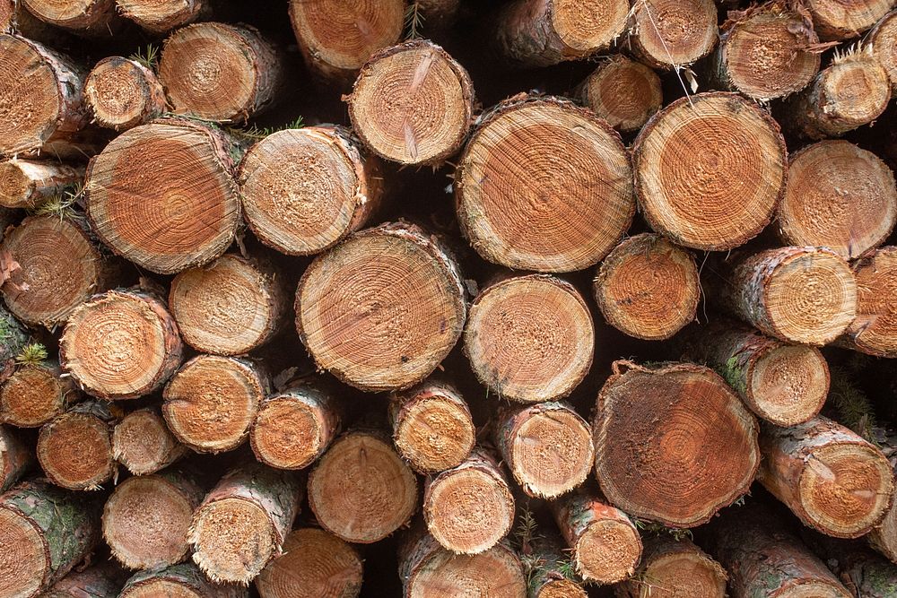 Timber stacked, free public domain CC0 photo.