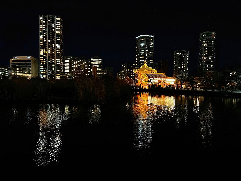 Night, Shinobazu Pond, Tokyo, Japan