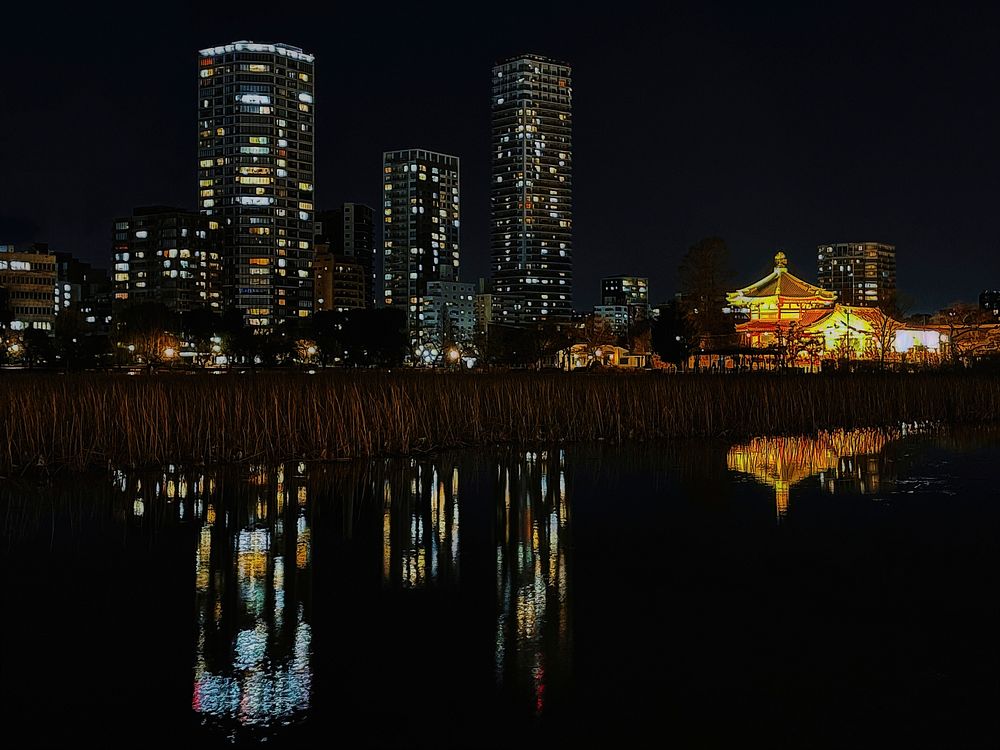 Night, Shinobazu Pond, Tokyo, Japan